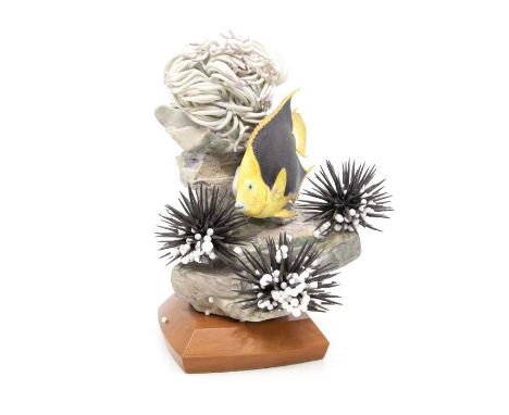 Worcester Royal Porcelain model of a rock beauty, on stand with certificate