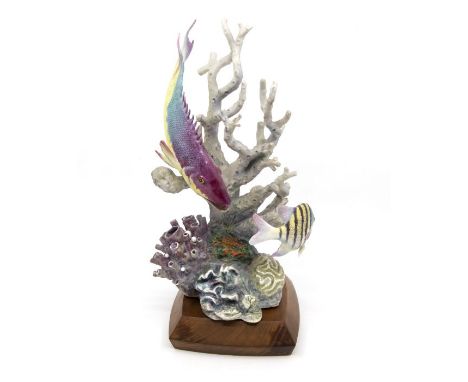 Worcester Royal Porcelain model of a Spanish hog fish, on stand with certificate
