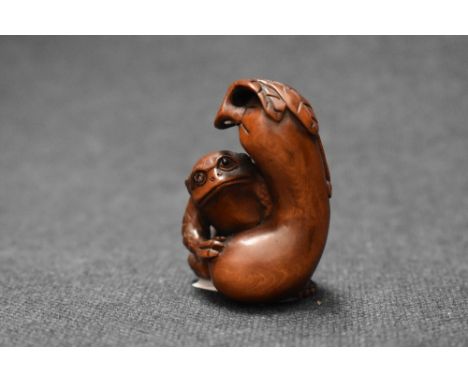 An early 20th century Japanese carved wood Netsuke of a mythical Frog / Monkey creature with an Egg plant