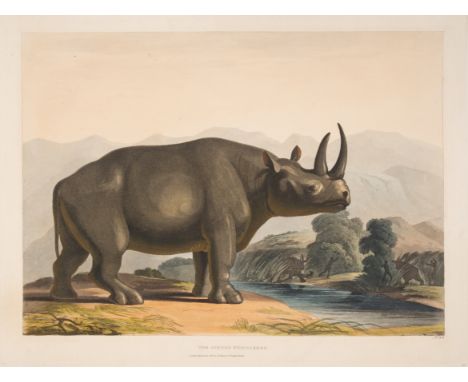 Africa.- Daniell (Samuel) Seven plates from 'African Scenery and Animals', including 'The&nbsp;African Rhinoceros' and 'The Q