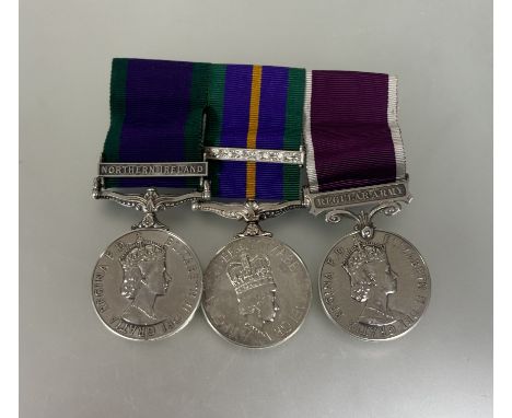 Army Catering Corps medal trio. CSM clasp NORTHERN IRELAND Accumulated CSM and bar, Army L.S.G.M 24479038 LCPL. N.ELLIS. ACC,
