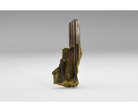 A parallel growth of several prismatic epidote crystals, the largest gemmy, finely terminated, and transparent dark green, fr