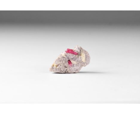 A group of two columnar crystals of rubellite tourmaline in lepidolite mica. See Bonewitz, Dr. Ronald Louis, Rocks & Minerals
