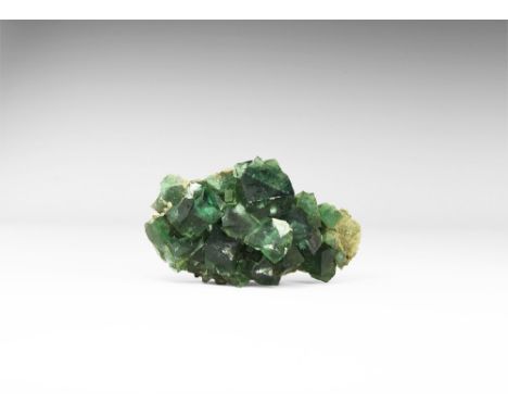 A fine group of dark green fluorite cubes in old white card tray with old Gregory, Bottley and Lloyd label reading: 'GREEN FL