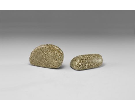 Middle Jurassic, 176-161 million years BP. A group of two pieces of polished Atlasaurus sp. bone displaying blood vessels.  3