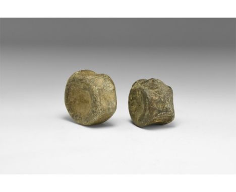 Jurassic Period, 201-145 million years BP. A group of two vertebra bones including: one of a Plesiosaur in white card tray wi