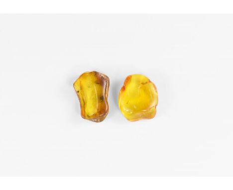 Oligocene Period, 45 million years BP. A group of two pieces of Baltic amber all containing flies together with other inclusi