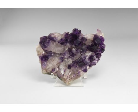 A very unusual specimen of quartz crystals with amethyst tips, on matrix. See Bonewitz, Dr. Ronald Louis, Rocks & Minerals, 2