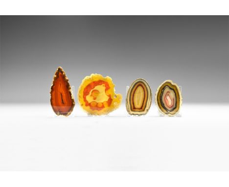 A group of four cut and polished variegated agate slices displaying bands of colour and mineral growth to the centre. See Bon