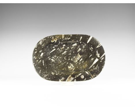 Silurian Period, 443-416 million years BP. A large cut and polished piece of black limestone in the shape of a shallow dish w