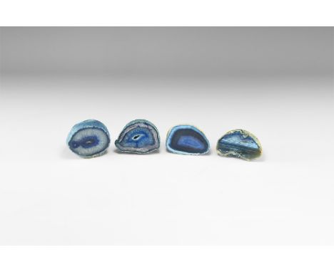 Four sawn and polished agate geodes with bands of crystallisation; colour enhanced. ee Bonewitz, Dr. Ronald Louis, Rocks & Mi