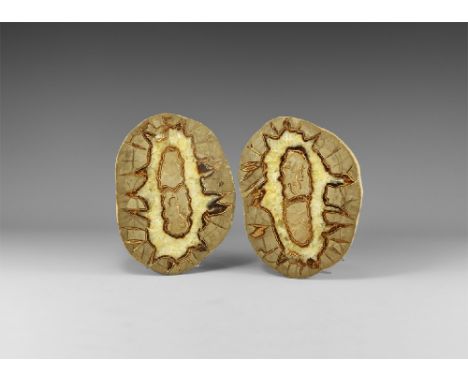 A group of two septarian nodule halves, with yellow and brown calcite, including a small hollow filled with yellow calcite cr