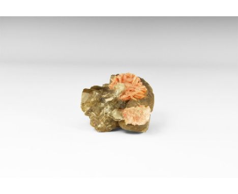 An intergrown group of multiple-termination scheelite crystals with bladed pink baryte crystals from Tasmania, in old white c