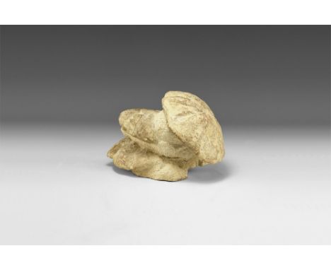 Ordovician Period, 488-443 million years BP. A group of three Clypeus ploti, fossil echinoids display piece on a matrix.  1.2