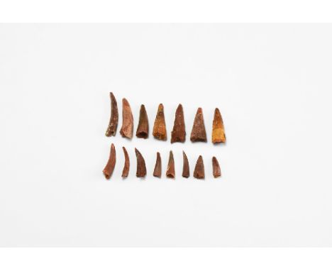 Cretaceous Period, 100 million years BP. A group of fifteen Siroccopteryx moroccensis Pterosaur teeth.  12 grams, 13-28mm (1/