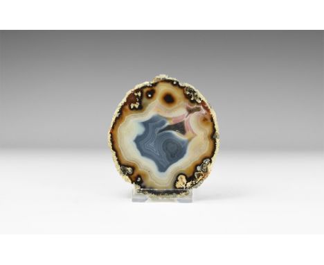 A cut and polished banded agate slice with natural brown, black and blue bands. See Bonewitz, Dr. Ronald Louis, Rocks & Miner