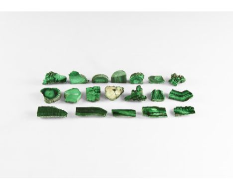 A group of twenty cut and polished pieces of stalactitic malachite with pale and dark green banding. See Bonewitz, Dr. Ronald