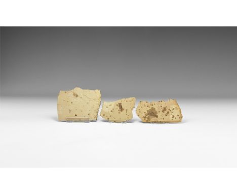Permian Period, 298-252 million years BP. A group of three slices of shale with insects on a matrix, consisting of: three sin