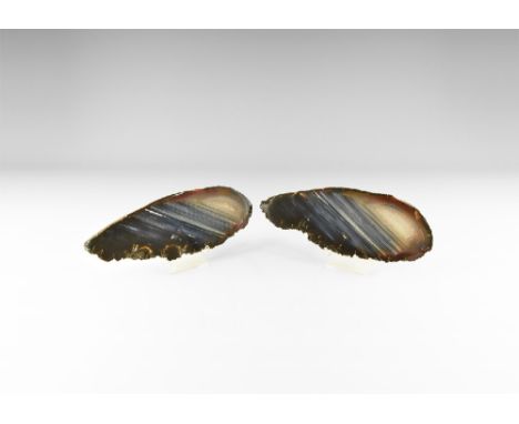 A pair of cut and polished banded agate slices from the same nodule with natural bands of dark brown and pale blue; teardrop-