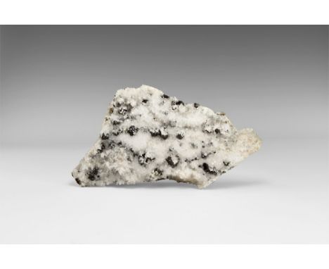 An attractive specimen of dark sphalerite crystals nestled in a bed of sparkling quartz crystals. See Bonewitz, Dr. Ronald Lo