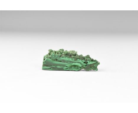 A large piece of cut and polished stalactitic malachite cut lengthwise, showing lustrous pale and dark green sheen. See Bonew
