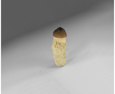 Lower Cretaceous Period, 146-100 million years BP. A Globidens Mosasaurus tooth complete with root.  84 grams, 85mm (3 1/4").