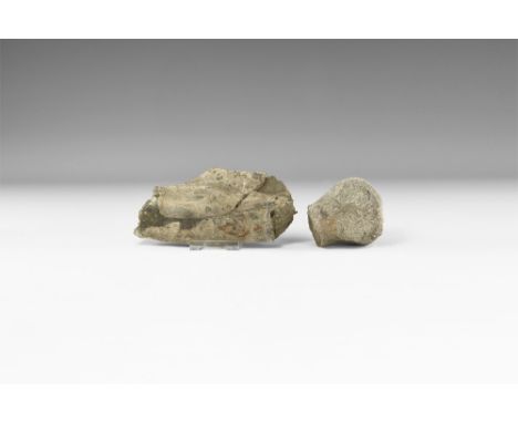 Jurassic-Cretaceous Period, 203-66 million years BP. A group of two bones comprising a rib and flipper? bone, from Icthyosaru