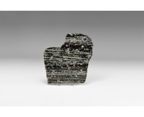 A large cut and polished sheet of snowflake obsidian with white spherulites of albite. See Bonewitz, Dr. Ronald Louis, Rocks 
