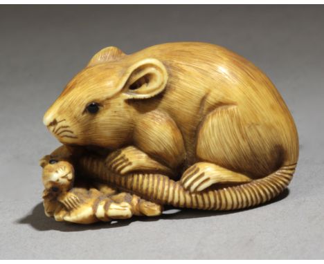 A 19th century Japanese netsuke from Meiji period. Signed Kosai. In carved elephant ivory portraying a rat with horn eyes lyi