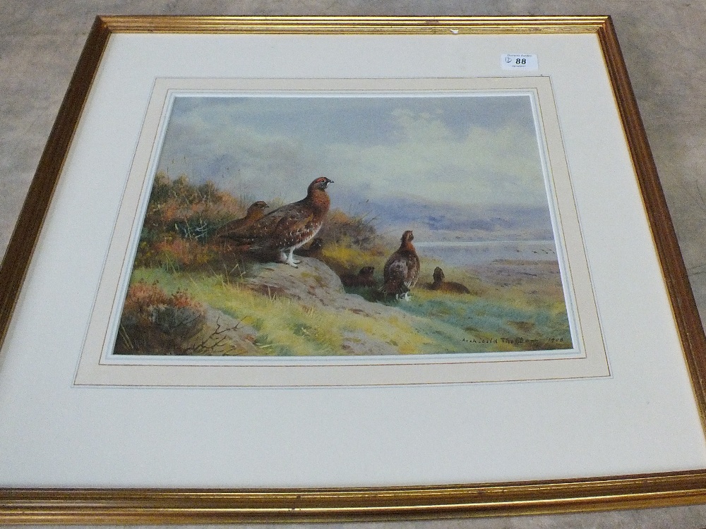 A pair of Archibald Thorburn prints 'Grouse' and 'Ptarmigan', 11