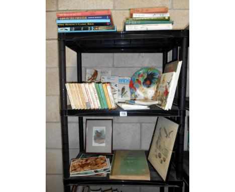 A good lot of vintage books on birds including a selection of Observer books plus a framed and glazed print and a collectors 