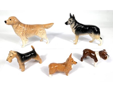 A Beswick Golden Retriever, Alsatian, Fox Terrier, Corgi, Bulldog 'Bosun'