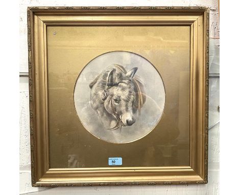 BRITISH 19th century watercolour, portrait of a pet donkey, unsigned, 26 cm diameter, gilt framed 