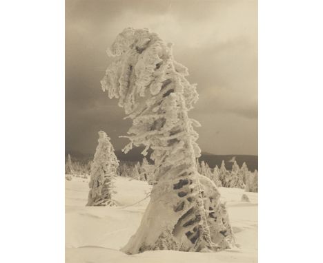 Albert Renger-Patzsch, Aufziehender SchneesturmVintage, Gelatinesilberabzug. 22,8 x 16,6 cm (23,2 x 17 cm). Auf Originalkarto
