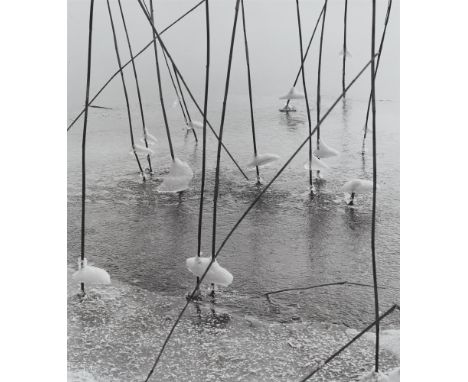 Peter Keetman, Ohne TitelVintage, Gelatinesilberabzug hochglänzend. 19,5 x 17 cm (24,3 x 17,8 cm). Rückseitig mit Bleistift s