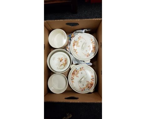 BOX LOT OF POOLE POTTERY DINNERWARE