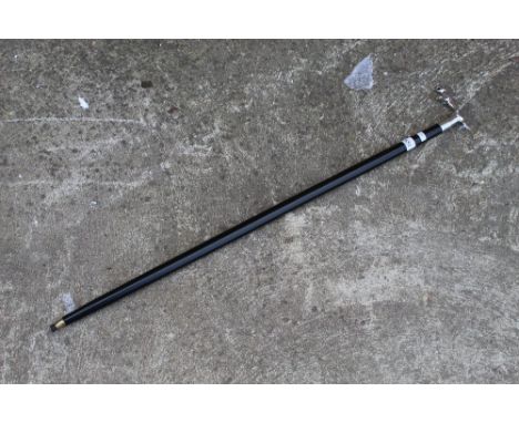A Jaguar walking stick&nbsp;