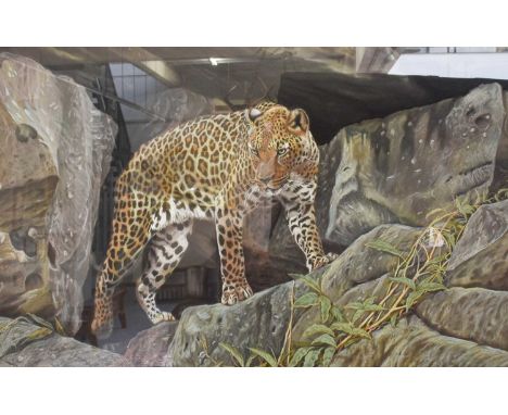 Don McKay (Contemporary)Leopard on rocky ledgeSigned and dated (19)85, pastel, 53.5cm by 78.5cm; together with a further past