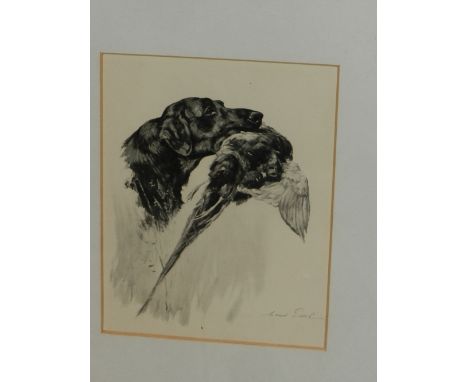 Maud Earl (British, 1864-1943). A black labrador, monochrome lithograph. H: 17cm W: 12cm 