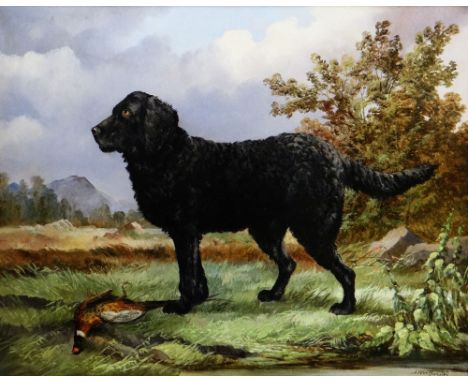 A WORTHINGTON oil on canvas - portrait of a long haired black retriever with pheasant on moorland, signed 'A. Worthington, 18