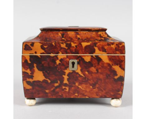 A SMALL REGENCY TORTOISESHELL TWO DIVISION TEA CADDY, on ivory bun feet (two feet missing). 5.5ins wide.