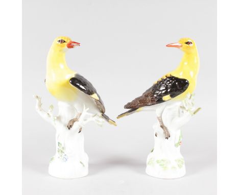 A GOOD PAIR OF MEISSEN YELLOW AND BLACK BIRDS, standing on an encrusted tree trunk. Cross swords mark in blue.  Incised No. 8