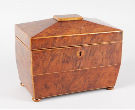 A REGENCY BURR YEW TWO DIVISION TEA CADDY on four bun feet. 7.5ins wide.