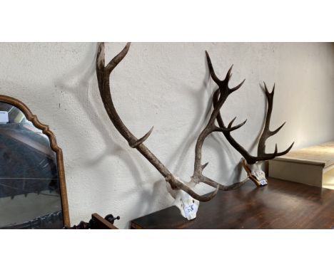  Sale Item:    2 SETS ANTLERS   Vat Status:   No Vat   Buyers Premium:  This lot is subject to a Buyers Premium of 15% + Vat 