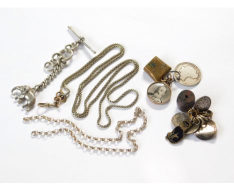 WATCH CHAIN ETC. A silver gilt watch chain with clip & a silver T-bar with elephant fob attached. Also, various other drilled