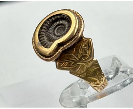 A 15ct gold ring with central ammonite, approximate total weight 3.2g