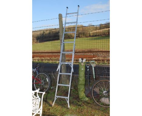 An aluminium extendable six rung step ladder.