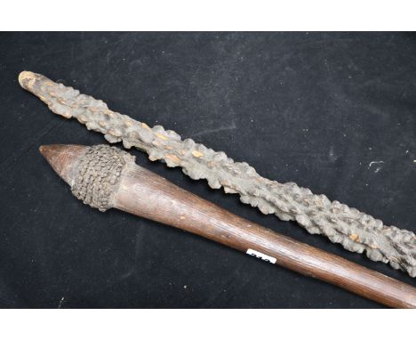 An African throwing club and a cabbage stalk walking stick club 70cm