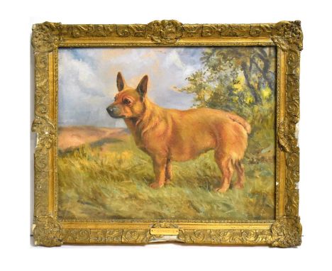 K* Harris(19th Century)"Corvette"; portrait of a Corgi dog in a summer landscape,signed, bearing title plaque to the frame,oi