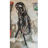 6 - safety lanyards CW